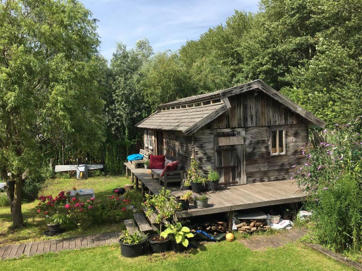 Cabin In The Green - Near Amsterdam Velsen-Zuid Exterior foto